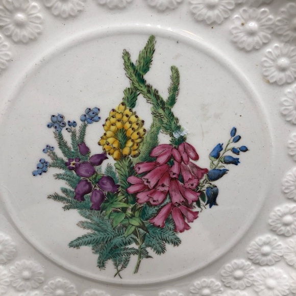 4 Spode Copeland Plates 9.25” Provincial Flowers Heath Campanula Petunia etc EXC - Picture 9 of 10